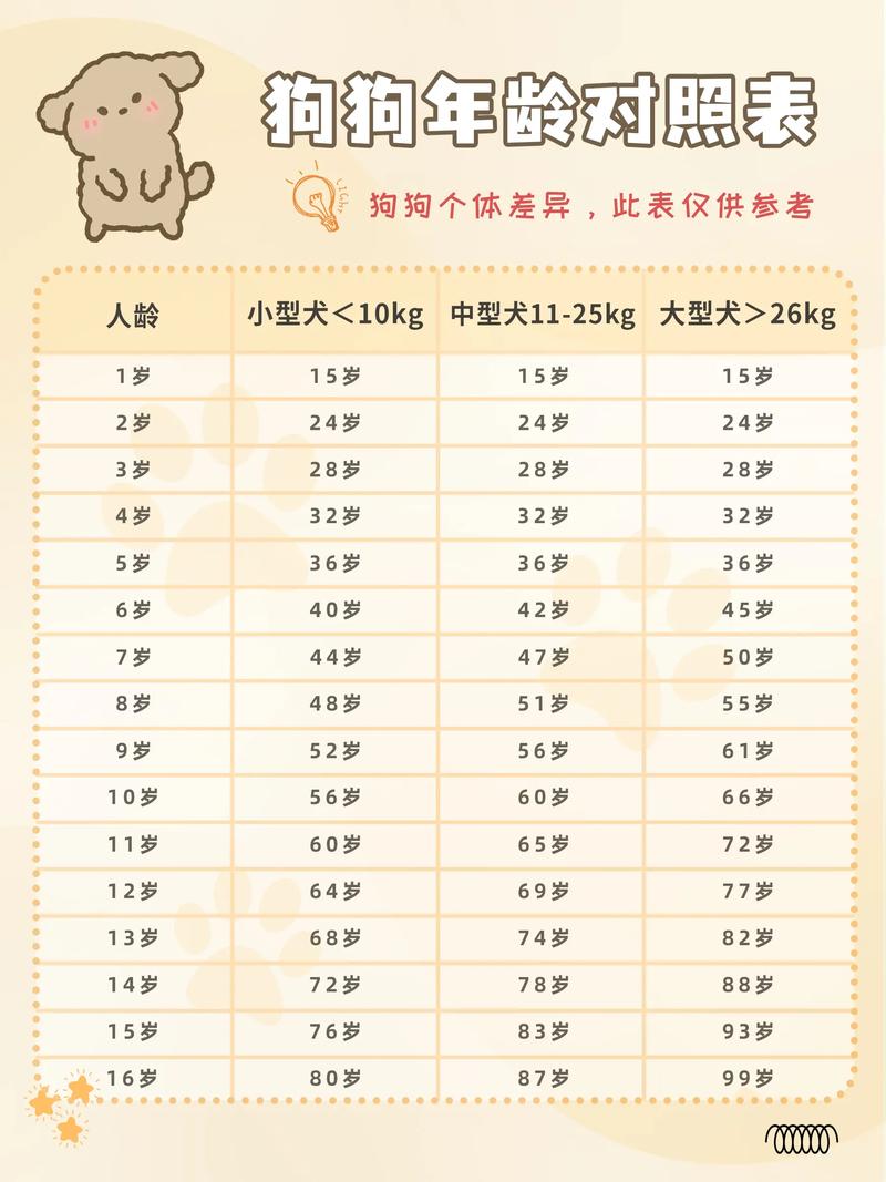 狗狗乳牙什么时候掉,狗狗乳牙什么时候掉完正常?-第3张图片-后鲨宠物 狗狗乳牙什么时候掉,狗狗乳牙什么时候掉完正常?-第3张图片-后鲨宠物