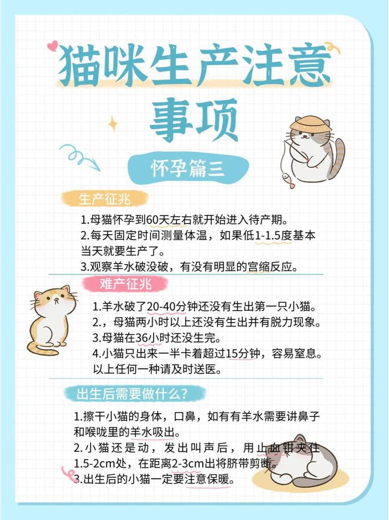 猫咪生产会叫吗,猫咪生产时会发出什么样的叫声-第2张图片-后鲨宠物 猫咪生产会叫吗,猫咪生产时会发出什么样的叫声-第2张图片-后鲨宠物