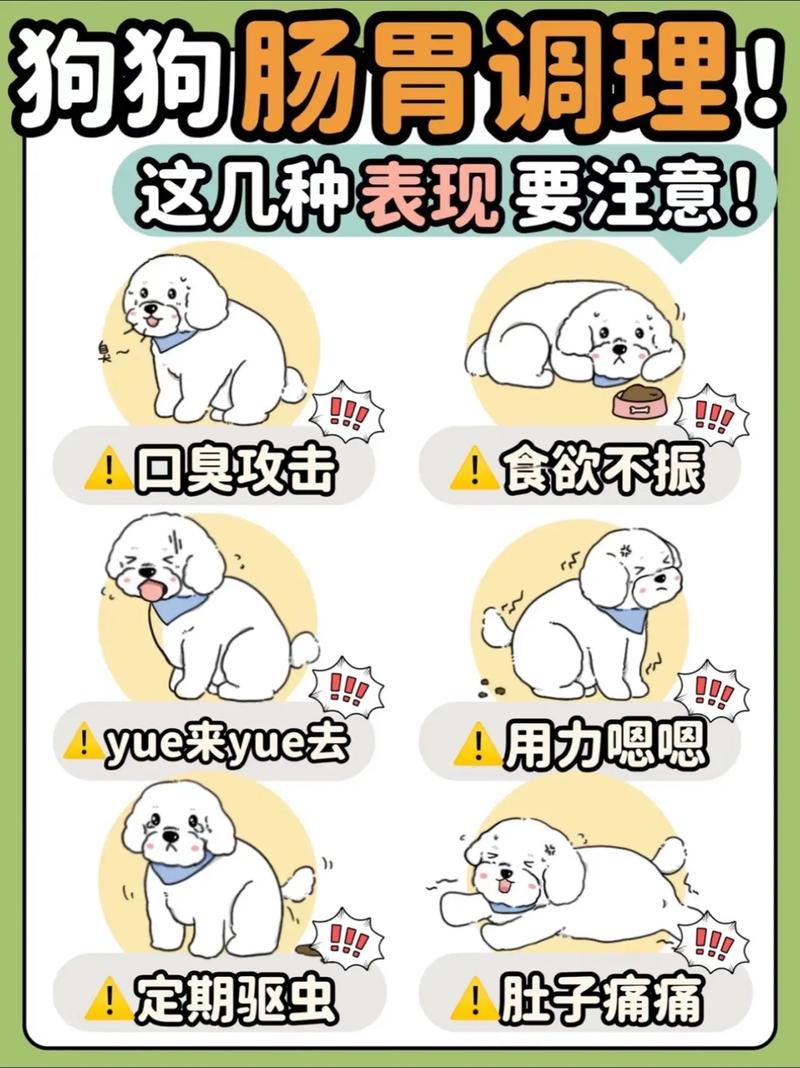 狗狗拉肚子不吃东西怎么办,狗狗拉肚子不吃食怎么办精神很好-第4张图片-后鲨宠物 狗狗拉肚子不吃东西怎么办,狗狗拉肚子不吃食怎么办精神很好-第4张图片-后鲨宠物