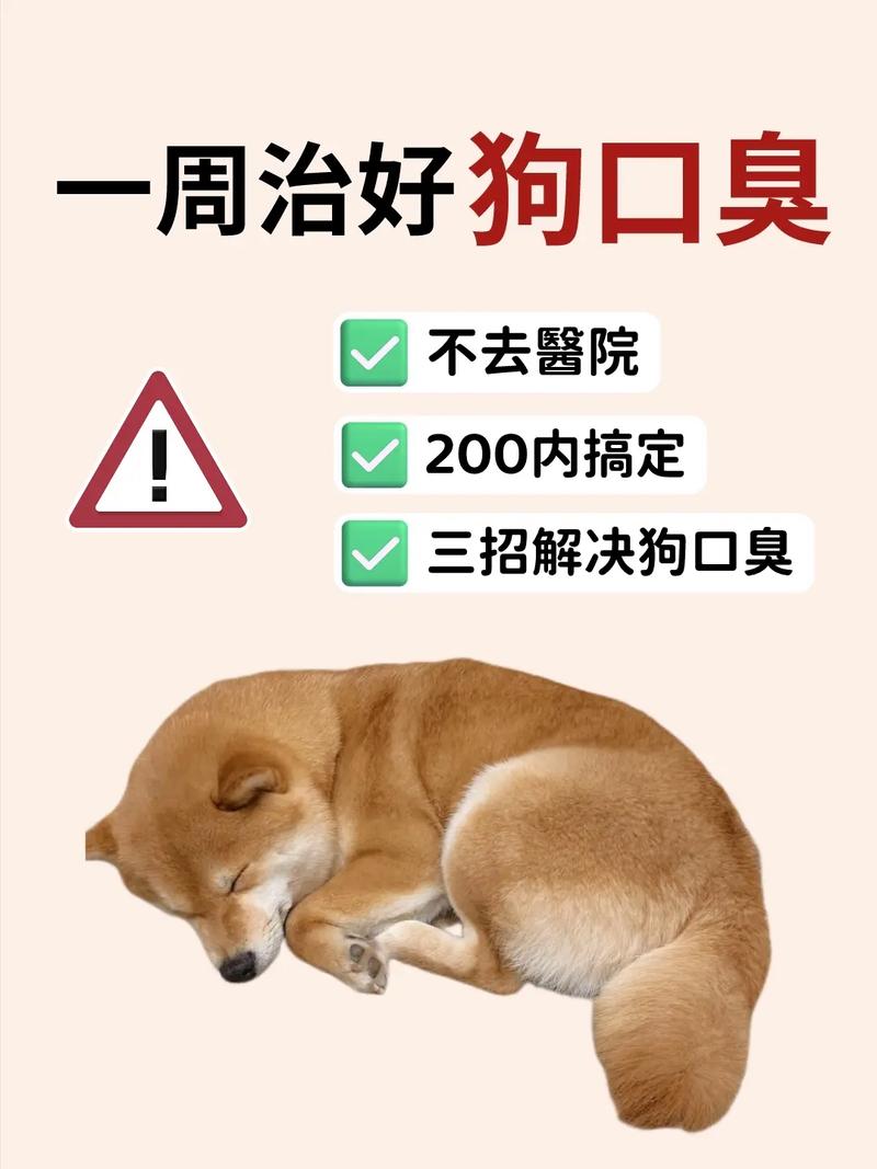 狗狗吃了臭鸡蛋怎么办,狗狗吃了臭鸡蛋怎么办-第1张图片-后鲨宠物 狗狗吃了臭鸡蛋怎么办,狗狗吃了臭鸡蛋怎么办-第1张图片-后鲨宠物