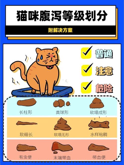 猫咪洗澡后拉稀怎么办,猫咪洗澡后拉肚子怎么办?-第2张图片-后鲨宠物 猫咪洗澡后拉稀怎么办,猫咪洗澡后拉肚子怎么办?-第2张图片-后鲨宠物