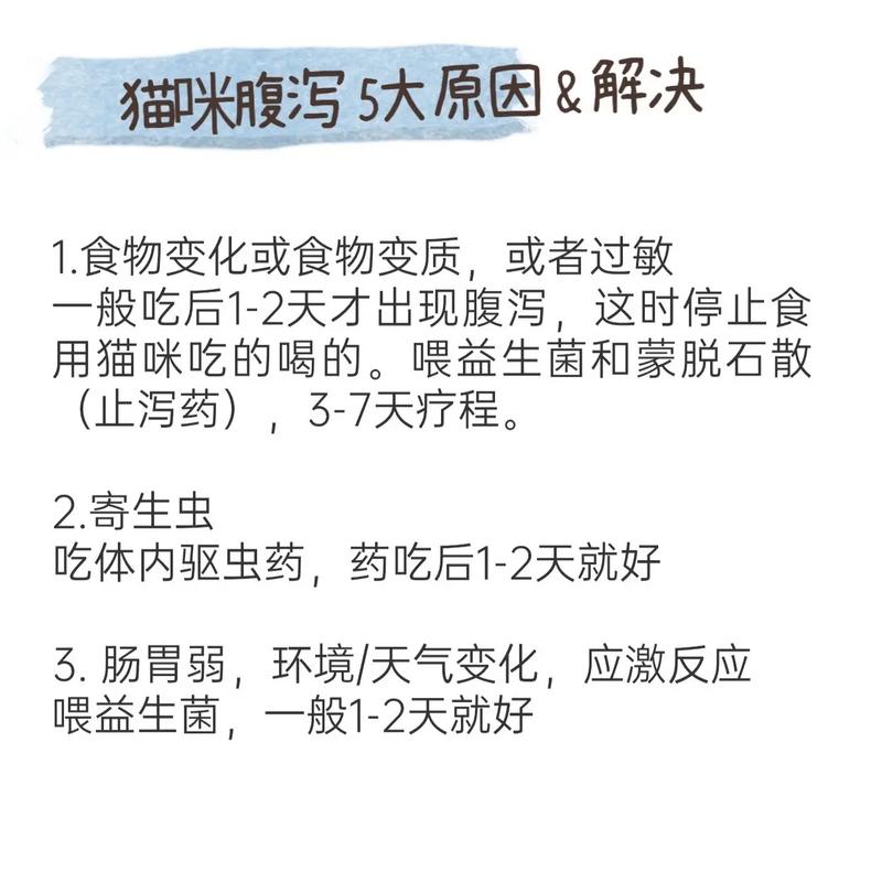 猫咪洗澡后拉稀怎么办,猫咪洗澡后拉肚子怎么办?-第3张图片-后鲨宠物 猫咪洗澡后拉稀怎么办,猫咪洗澡后拉肚子怎么办?-第3张图片-后鲨宠物