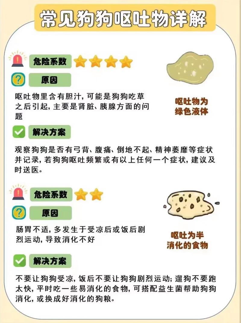 狗狗呕吐是什么原因_狗狗呕吐是什么原因怎么办-第6张图片-后鲨宠物 狗狗呕吐是什么原因_狗狗呕吐是什么原因怎么办-第6张图片-后鲨宠物