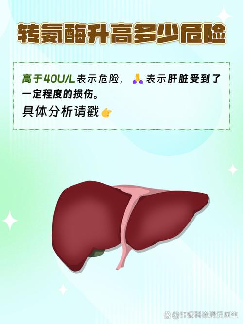 狗狗肝功能受损怎么办,狗狗肝功能衰竭怎么办?-第1张图片-后鲨宠物 狗狗肝功能受损怎么办,狗狗肝功能衰竭怎么办?-第1张图片-后鲨宠物