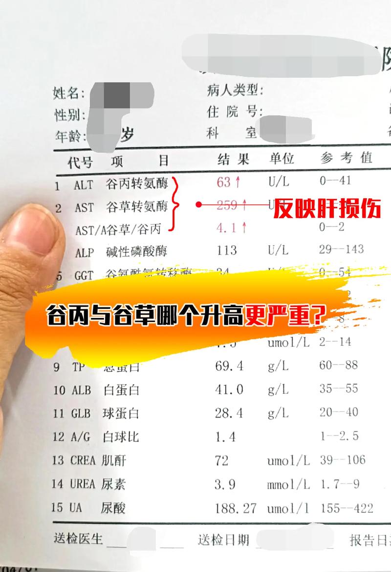 狗狗肝功能受损怎么办,狗狗肝功能衰竭怎么办?-第5张图片-后鲨宠物 狗狗肝功能受损怎么办,狗狗肝功能衰竭怎么办?-第5张图片-后鲨宠物