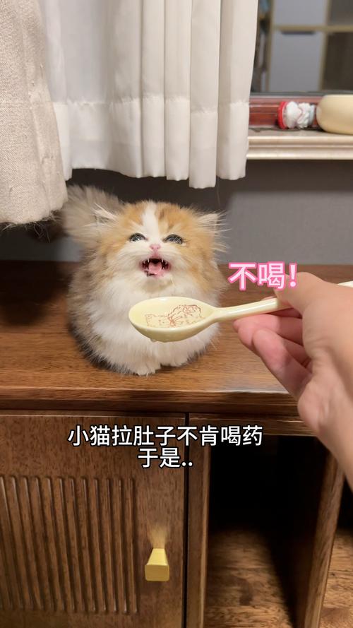 猫咪不喝药怎么办,猫不吃药怎么办有什么好办法吗-第3张图片-后鲨宠物 猫咪不喝药怎么办,猫不吃药怎么办有什么好办法吗-第3张图片-后鲨宠物