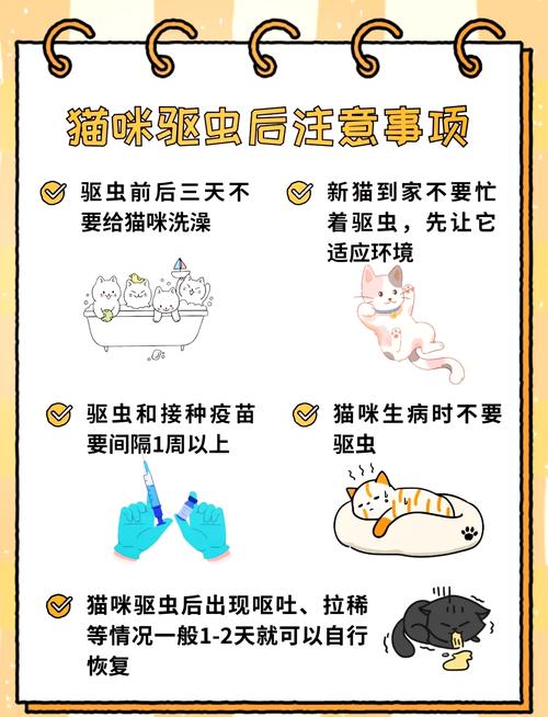 猫咪驱虫怎么做_猫咪驱虫做了多久之后可以打疫苗-第2张图片-后鲨宠物