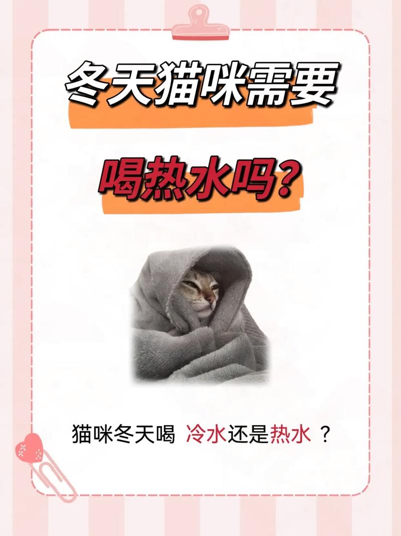 猫咪能喝温水吗,猫咪能喝温水吗温度多少?-第1张图片-后鲨宠物 猫咪能喝温水吗,猫咪能喝温水吗温度多少?-第1张图片-后鲨宠物