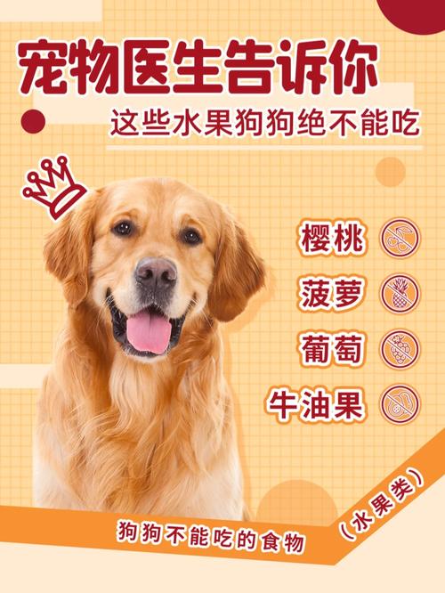 狗狗能吃山竹吗_狗子能吃山竹吗-第1张图片-后鲨宠物 狗狗能吃山竹吗_狗子能吃山竹吗-第1张图片-后鲨宠物