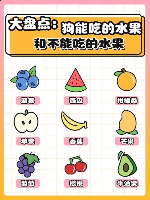 狗狗能吃山竹吗_狗子能吃山竹吗-第4张图片-后鲨宠物 狗狗能吃山竹吗_狗子能吃山竹吗-第4张图片-后鲨宠物