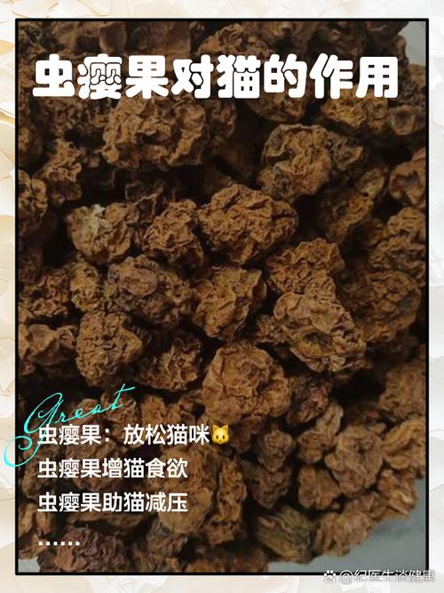 猫咪能吃山楂吗,猫咪能吃山楂吗会死吗-第5张图片-后鲨宠物 猫咪能吃山楂吗,猫咪能吃山楂吗会死吗-第5张图片-后鲨宠物