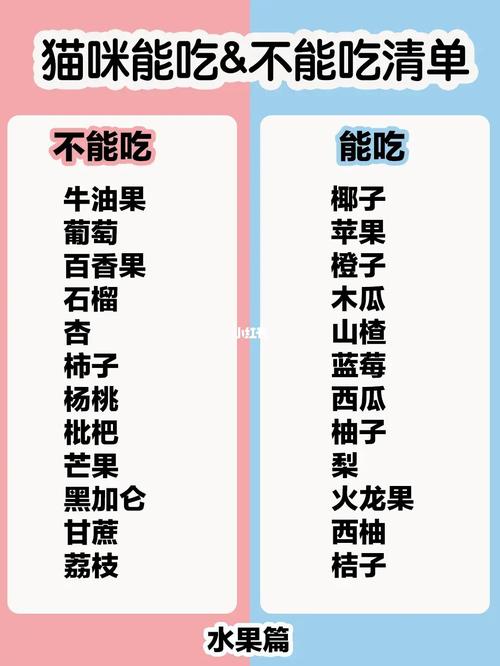 猫咪能吃山楂吗,猫咪能吃山楂吗会死吗-第6张图片-后鲨宠物 猫咪能吃山楂吗,猫咪能吃山楂吗会死吗-第6张图片-后鲨宠物