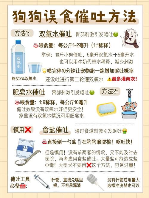 怎么对狗狗安全催吐,怎么对狗狗安全催吐呢?-第4张图片-后鲨宠物 怎么对狗狗安全催吐,怎么对狗狗安全催吐呢?-第4张图片-后鲨宠物