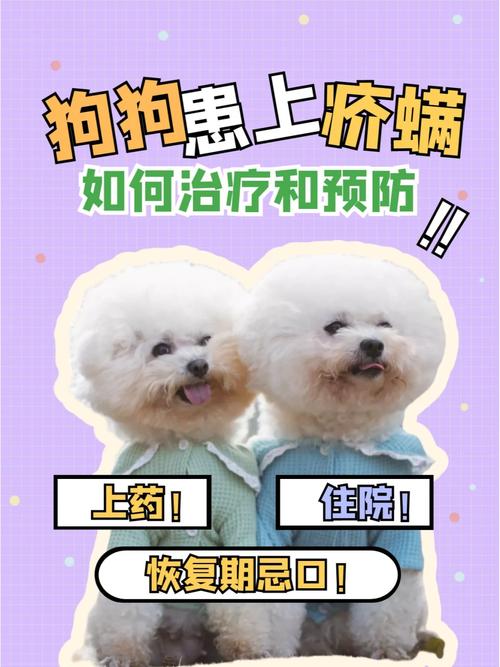 狗狗疥螨用什么药_狗狗疥螨用什么药浴-第4张图片-后鲨宠物