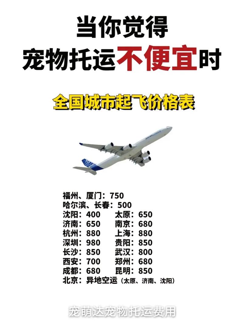 猫咪托运要多少钱,猫咪托运多少钱 顺丰?-第4张图片-后鲨宠物 猫咪托运要多少钱,猫咪托运多少钱 顺丰?-第4张图片-后鲨宠物