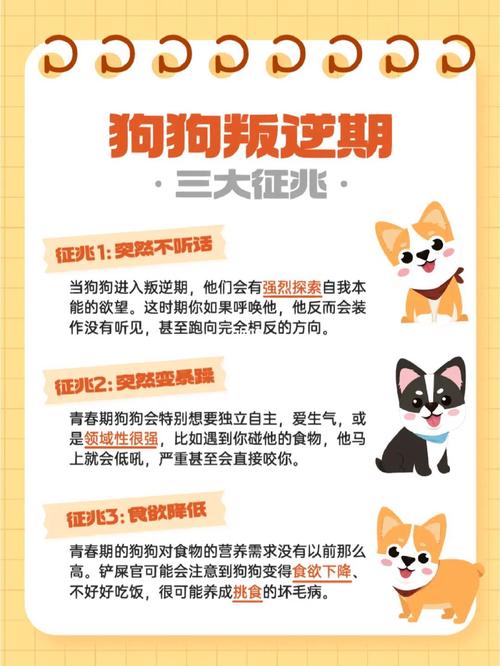 狗狗叛逆期怎么办_狗狗叛逆期持续到多大-第2张图片-后鲨宠物 狗狗叛逆期怎么办_狗狗叛逆期持续到多大-第2张图片-后鲨宠物