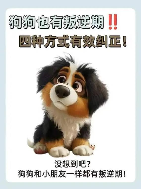 狗狗叛逆期怎么办_狗狗叛逆期持续到多大-第4张图片-后鲨宠物 狗狗叛逆期怎么办_狗狗叛逆期持续到多大-第4张图片-后鲨宠物