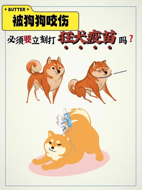 狗狗打狂犬疫苗免费吗,狗狗打狂犬疫苗吗费用是多少?-第1张图片-后鲨宠物 狗狗打狂犬疫苗免费吗,狗狗打狂犬疫苗吗费用是多少?-第1张图片-后鲨宠物