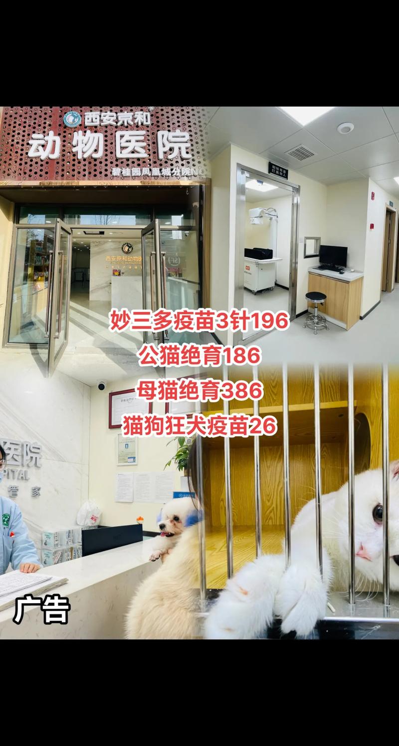 狗狗打狂犬疫苗免费吗,狗狗打狂犬疫苗吗费用是多少?-第3张图片-后鲨宠物 狗狗打狂犬疫苗免费吗,狗狗打狂犬疫苗吗费用是多少?-第3张图片-后鲨宠物