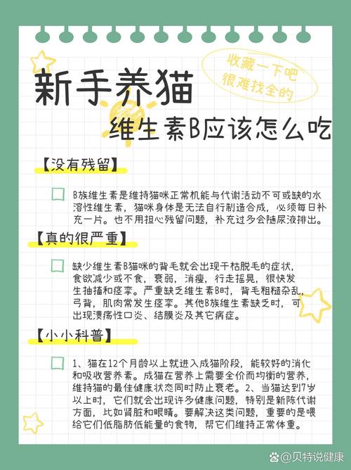 猫咪吃维生素b的好处,猫咪吃维生素b的好处有哪些?-第3张图片-后鲨宠物 猫咪吃维生素b的好处,猫咪吃维生素b的好处有哪些?-第3张图片-后鲨宠物