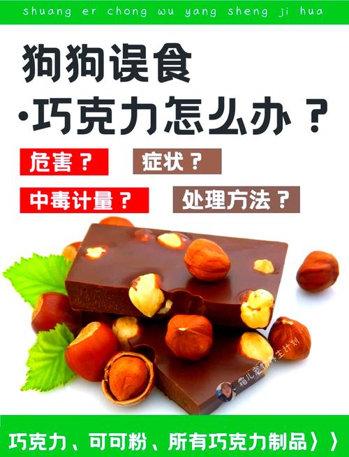 狗狗吃巧克力了怎么办,狗狗误食少量巧克力能自愈吗?-第2张图片-后鲨宠物 狗狗吃巧克力了怎么办,狗狗误食少量巧克力能自愈吗?-第2张图片-后鲨宠物