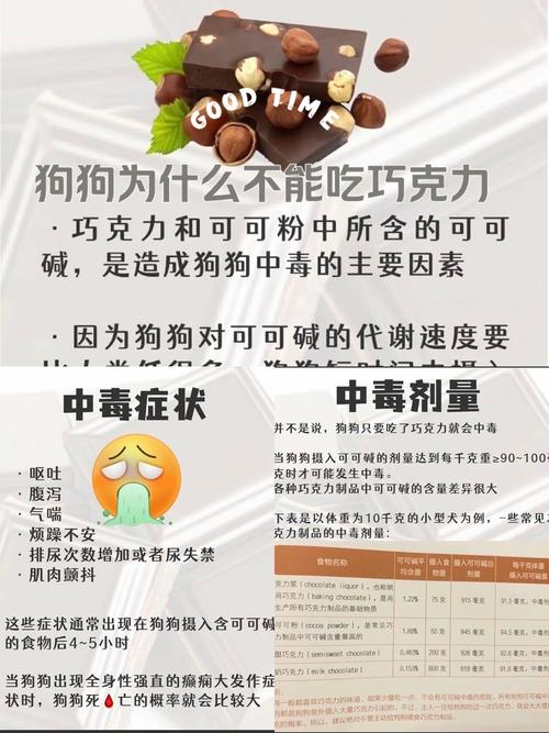狗狗吃巧克力了怎么办,狗狗误食少量巧克力能自愈吗?-第5张图片-后鲨宠物 狗狗吃巧克力了怎么办,狗狗误食少量巧克力能自愈吗?-第5张图片-后鲨宠物