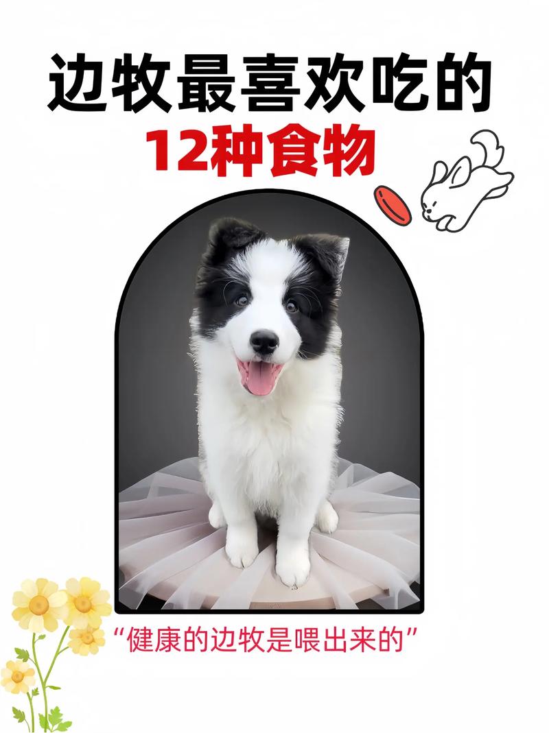 狗狗能吃油菜吗,狗狗可以吃小油菜-第1张图片-后鲨宠物 狗狗能吃油菜吗,狗狗可以吃小油菜-第1张图片-后鲨宠物