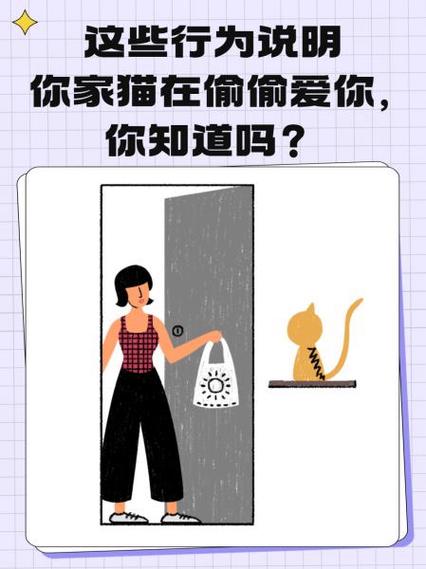 猫猫喜欢你的表现,猫咪喜欢你到不行的四个表现?-第4张图片-后鲨宠物 猫猫喜欢你的表现,猫咪喜欢你到不行的四个表现?-第4张图片-后鲨宠物