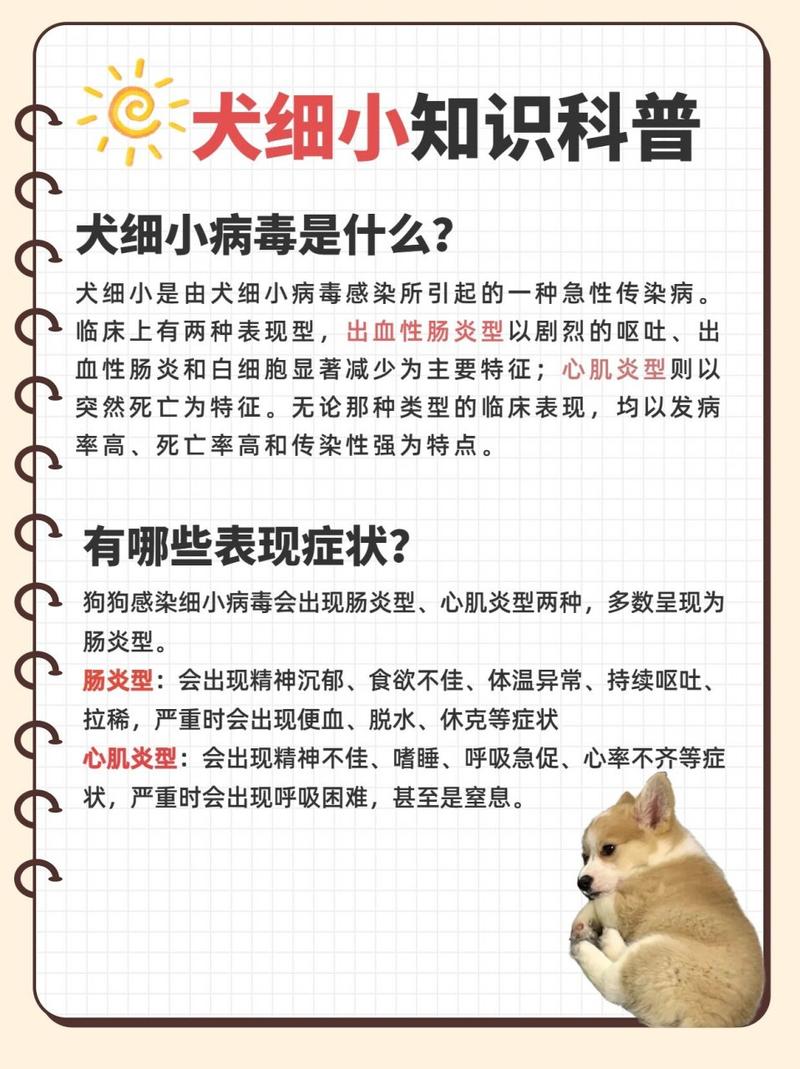 狗狗的细小会传染人吗_狗狗细小会传染给其他狗狗吗-第1张图片-后鲨宠物 狗狗的细小会传染人吗_狗狗细小会传染给其他狗狗吗-第1张图片-后鲨宠物