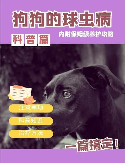 狗狗的细小会传染人吗_狗狗细小会传染给其他狗狗吗-第2张图片-后鲨宠物 狗狗的细小会传染人吗_狗狗细小会传染给其他狗狗吗-第2张图片-后鲨宠物