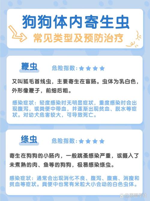 狗狗驱一次虫多少钱,狗狗驱虫大概多少钱-第1张图片-后鲨宠物 狗狗驱一次虫多少钱,狗狗驱虫大概多少钱-第1张图片-后鲨宠物