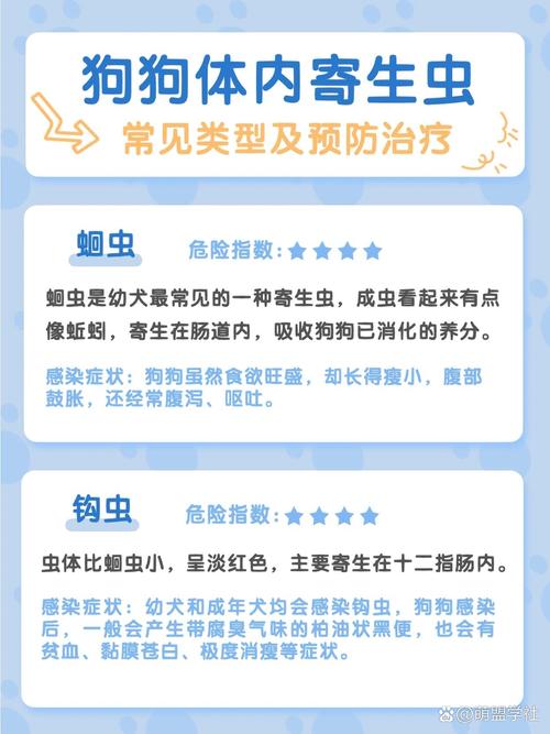 狗狗驱一次虫多少钱,狗狗驱虫大概多少钱-第2张图片-后鲨宠物 狗狗驱一次虫多少钱,狗狗驱虫大概多少钱-第2张图片-后鲨宠物