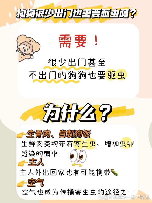 狗狗驱一次虫多少钱,狗狗驱虫大概多少钱-第4张图片-后鲨宠物 狗狗驱一次虫多少钱,狗狗驱虫大概多少钱-第4张图片-后鲨宠物