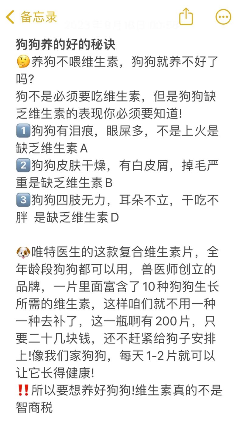 狗狗皮肤病吃维生素b几,狗狗皮肤病吃维生素b几片??-第6张图片-后鲨宠物 狗狗皮肤病吃维生素b几,狗狗皮肤病吃维生素b几片??-第6张图片-后鲨宠物