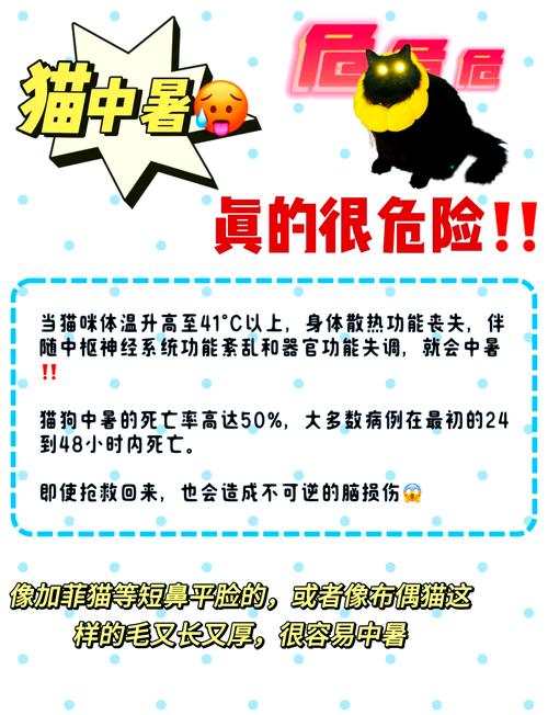 猫猫正常体温,猫咪体温正常多少?-第2张图片-后鲨宠物 猫猫正常体温,猫咪体温正常多少?-第2张图片-后鲨宠物