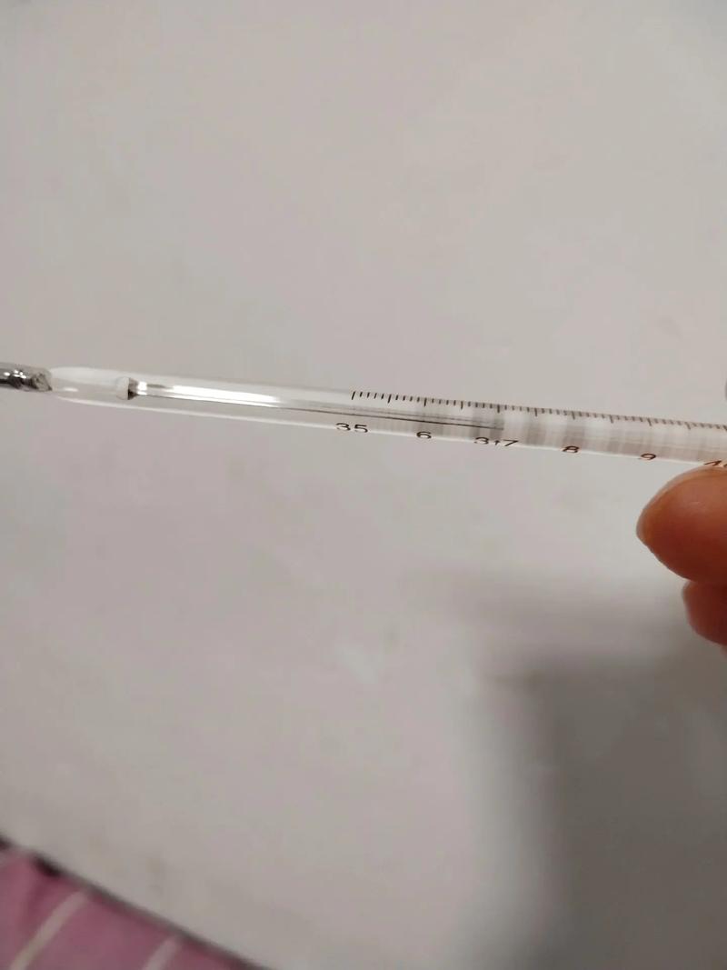 猫猫正常体温,猫咪体温正常多少?-第3张图片-后鲨宠物 猫猫正常体温,猫咪体温正常多少?-第3张图片-后鲨宠物