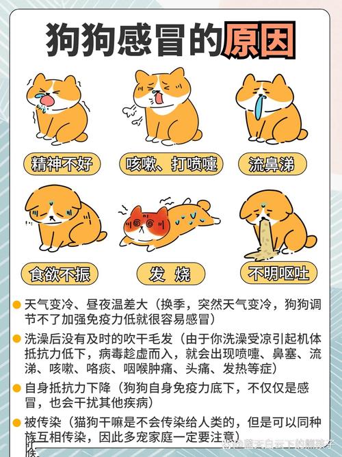 狗狗感冒了会自己好吗_狗感冒了自己会好么-第1张图片-后鲨宠物 狗狗感冒了会自己好吗_狗感冒了自己会好么-第1张图片-后鲨宠物