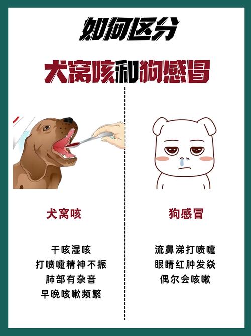 狗狗感冒了会自己好吗_狗感冒了自己会好么-第2张图片-后鲨宠物 狗狗感冒了会自己好吗_狗感冒了自己会好么-第2张图片-后鲨宠物