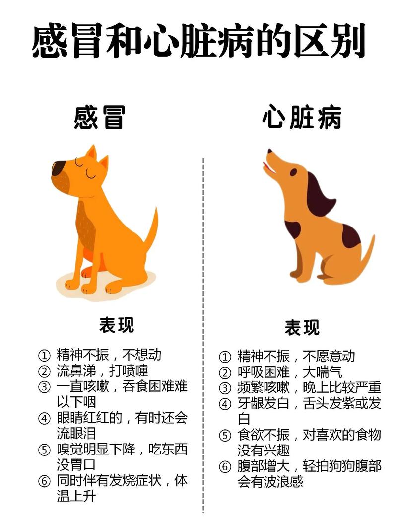 狗狗感冒了会自己好吗_狗感冒了自己会好么-第5张图片-后鲨宠物 狗狗感冒了会自己好吗_狗感冒了自己会好么-第5张图片-后鲨宠物