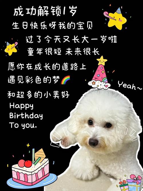 怎么给狗狗过生日,狗狗生日怎么办-第1张图片-后鲨宠物 怎么给狗狗过生日,狗狗生日怎么办-第1张图片-后鲨宠物