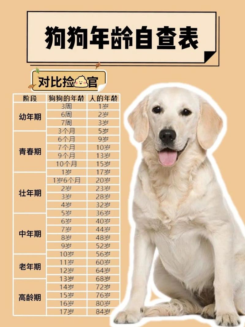 狗狗的平均寿命多少年,狗的平均寿命有几年-第2张图片-后鲨宠物 狗狗的平均寿命多少年,狗的平均寿命有几年-第2张图片-后鲨宠物