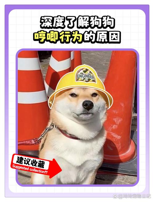 狗狗反常是怎么回事,狗狗这几天有点反常?-第3张图片-后鲨宠物 狗狗反常是怎么回事,狗狗这几天有点反常?-第3张图片-后鲨宠物