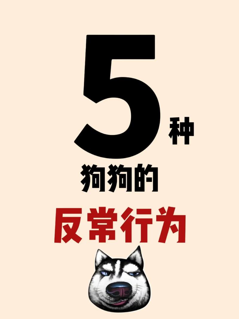 狗狗反常是怎么回事,狗狗这几天有点反常?-第6张图片-后鲨宠物 狗狗反常是怎么回事,狗狗这几天有点反常?-第6张图片-后鲨宠物