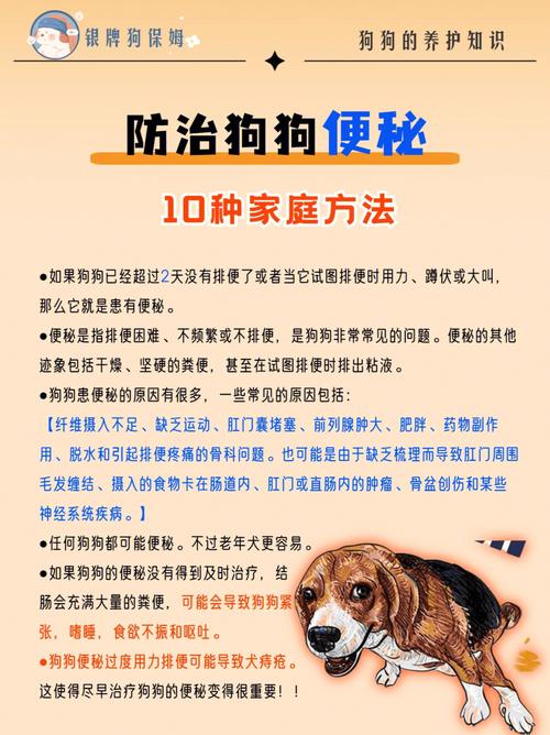 狗狗排便困难怎么办_狗狗排便困难怎么办而且还是粘的-第3张图片-后鲨宠物 狗狗排便困难怎么办_狗狗排便困难怎么办而且还是粘的-第3张图片-后鲨宠物