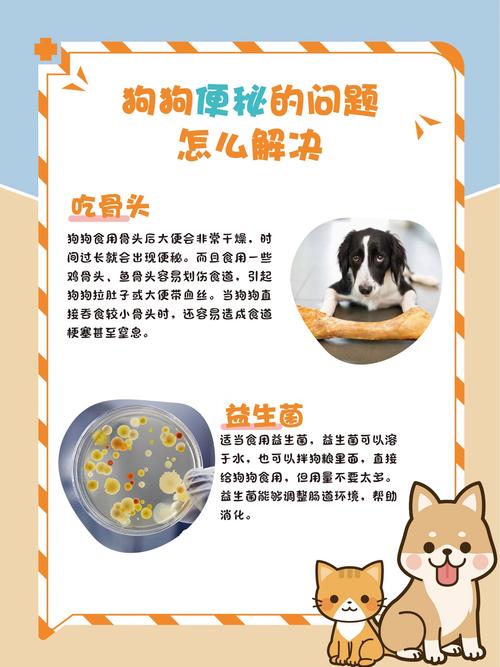 狗狗排便困难怎么办_狗狗排便困难怎么办而且还是粘的-第2张图片-后鲨宠物 狗狗排便困难怎么办_狗狗排便困难怎么办而且还是粘的-第2张图片-后鲨宠物