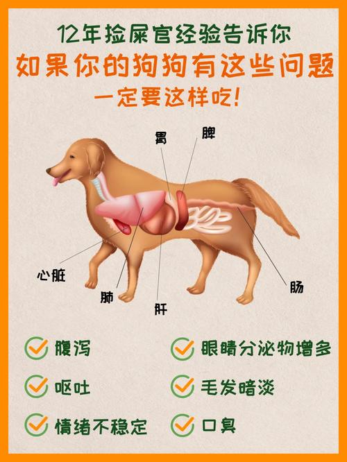 狗狗连吐带拉怎么办_狗子连拉带吐-第1张图片-后鲨宠物 狗狗连吐带拉怎么办_狗子连拉带吐-第1张图片-后鲨宠物