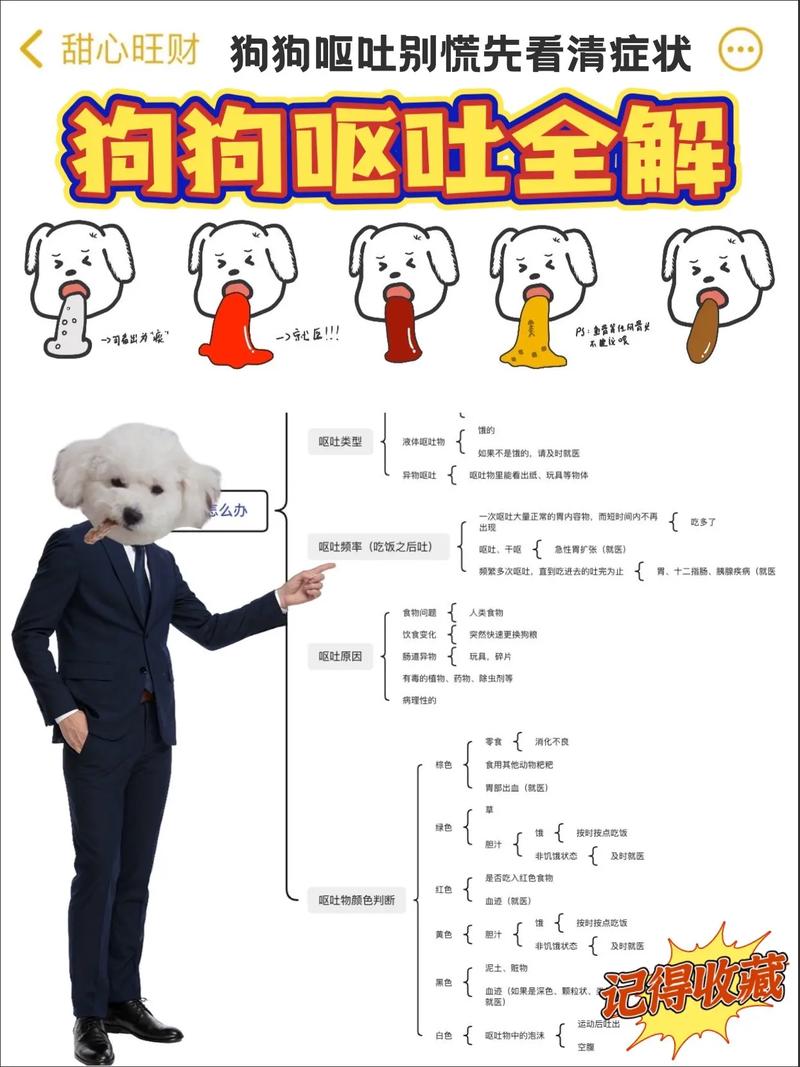 狗狗连吐带拉怎么办_狗子连拉带吐-第4张图片-后鲨宠物 狗狗连吐带拉怎么办_狗子连拉带吐-第4张图片-后鲨宠物