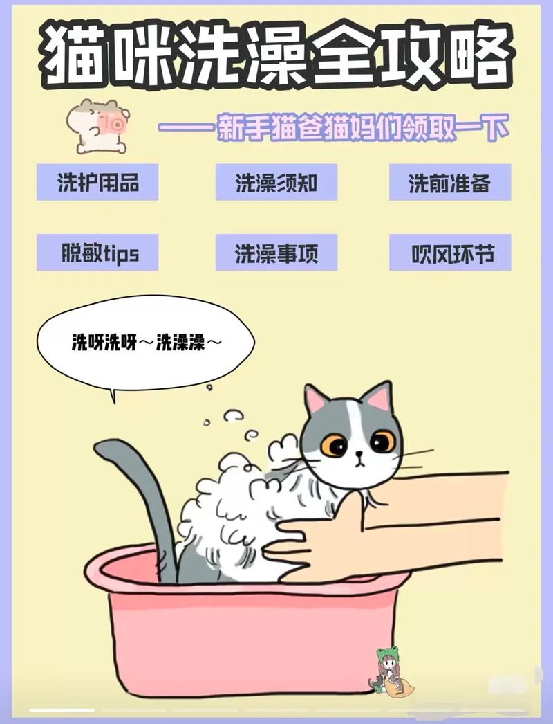 怎样给小猫咪洗澡_怎样给小猫咪洗澡比较好-第3张图片-后鲨宠物 怎样给小猫咪洗澡_怎样给小猫咪洗澡比较好-第3张图片-后鲨宠物