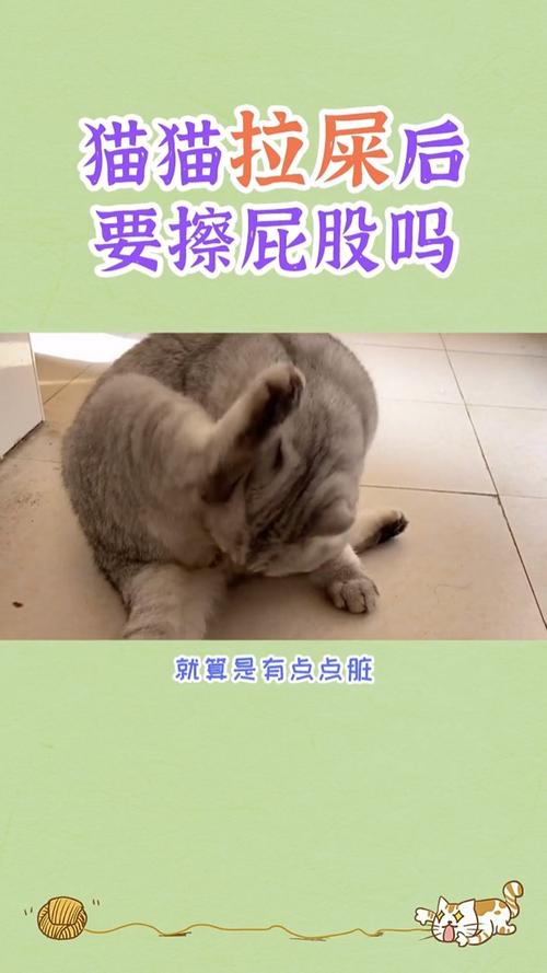 猫咪拉完屎要擦吗_猫咪拉完屎要擦吗为什么-第1张图片-后鲨宠物 猫咪拉完屎要擦吗_猫咪拉完屎要擦吗为什么-第1张图片-后鲨宠物