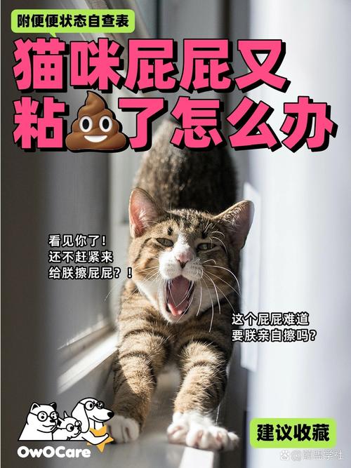 猫咪拉完屎要擦吗_猫咪拉完屎要擦吗为什么-第2张图片-后鲨宠物 猫咪拉完屎要擦吗_猫咪拉完屎要擦吗为什么-第2张图片-后鲨宠物